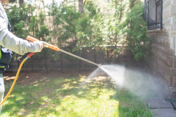 Best Rodent Control Near Me  in Crosby, TX
