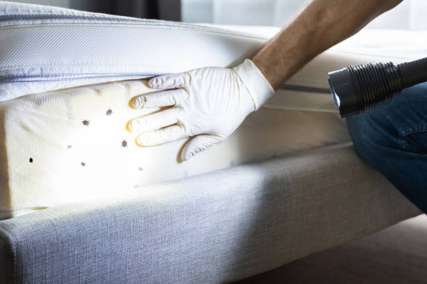 Best Commercial Pest Control Services  in Crosby, TX