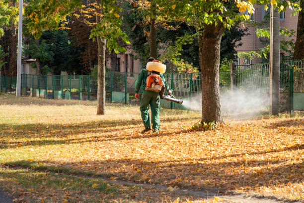 Best Rat Extermination Near Me  in Crosby, TX