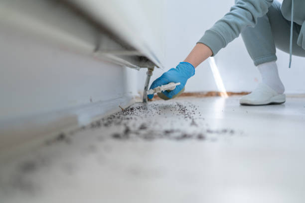 Best Exterminator Services  in Crosby, TX